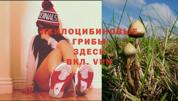 гашиш Алексин