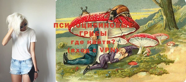 spice Рославль