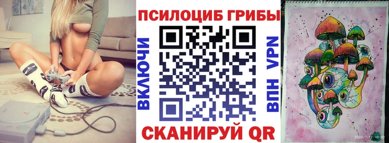 Псилоцибиновые грибы мицелий  Ветлуга 